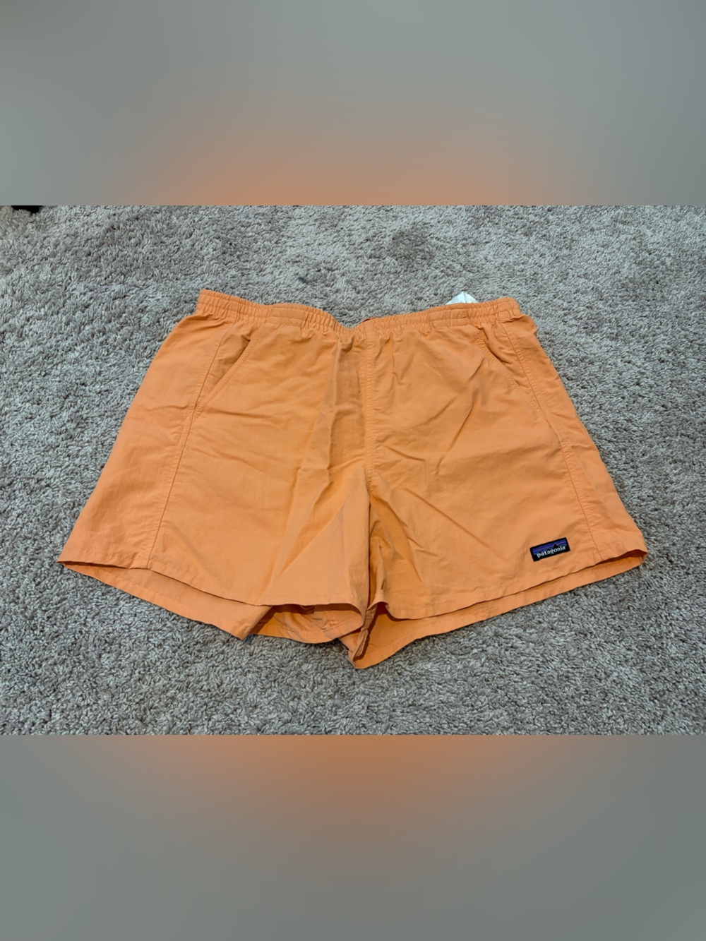 Patagonia Baggies - Large